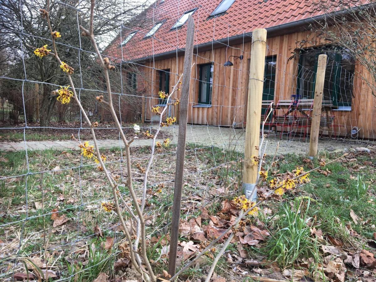 Broockhof Ferienwohnung Unterm Sternenhimmel In Mecklenburg Reimershagen المظهر الخارجي الصورة